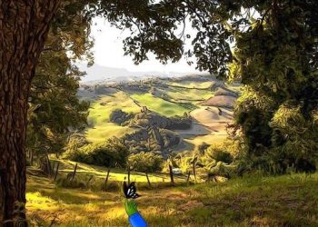 Ai Tàn Nhẫn Hơn Ai