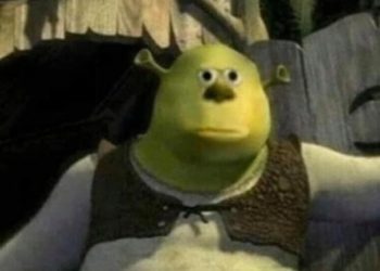 Cái Học Từ Sách Vở