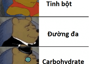Carbohydrate Và Những Điều Mà Bạn Thường Ngộ Nhận (P1)