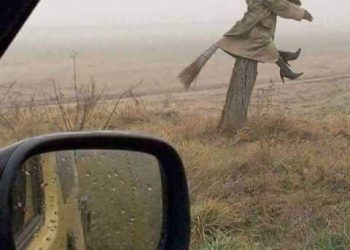 Còn Hơn Không Làm