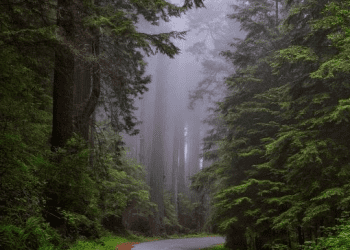 Sống Thuận Theo Bản Chất Tự Nhiên