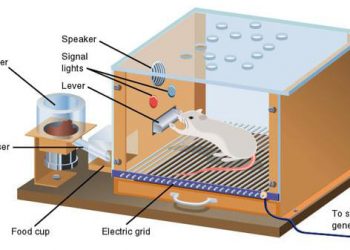 Mặt Trái Của Niềm Vu – Aldous Huxley Và Brave New World
