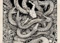 Antifragile Antifragile