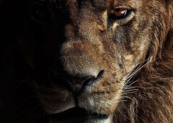 Đôi Khi Đối Thủ Của Ta Không Đến Từ Bên Ngoài Mà Đến Từ Trong Tâm Ta