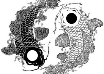 Hài Hoà Cân Bằng