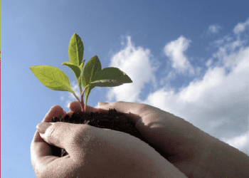 Hiểu Luật, Nghiệp (Chap 1.5)