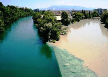 Khổ Vui Ở Đời