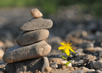 Khổ Vui Ở Đời – Chap 2