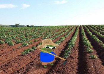 Lao Động, Vận Động Ngoài Trời