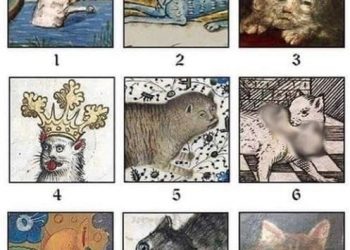 Ngủ Sớm Và Cuộc Đời