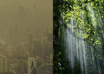 Phương Trời Nào Cho Em