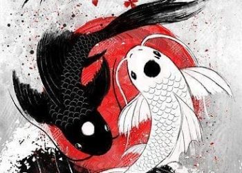 Sự Phát Triển Cân Bằng