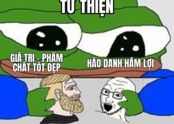 Vài Ý Về Từ Thiện, Phẩm Chất, Tâm Từ Bi Và Lập Trình Xã Hội