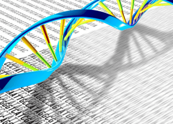 Chúng Ta Đang Đánh Giá Thấp Sự Khác Biệt Di Truyền Giữa Nam Và Nữ