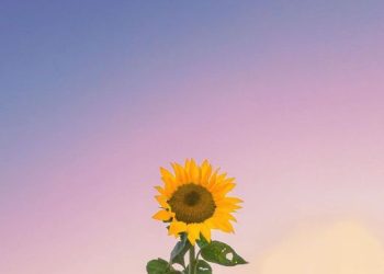 Người Đời Còn Quấy, Hay Lòng Ta Chưa Yên?