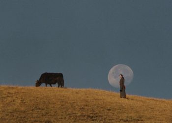 TẢN MẠN VỀ NGHIỆP DẪN (PHẦN 2)