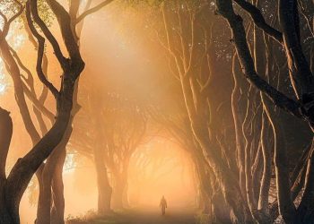 CÀNG MUỐN YÊN ỔN THÌ LẠI CÀNG BẤT HẠNH