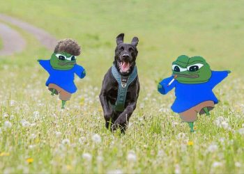 TẠI SAO CỐ HOÀI MÀ SAO VẪN KHỔ QUÁ