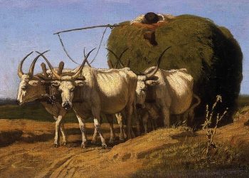 TÂM LÝ HỌC CỦA SỰ TUÂN THỦ