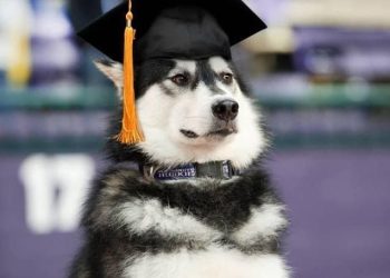 HƯỚNG DẪN CHỌN TRƯỜNG ĐẠI HỌC