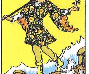 LỢI ÍCH CỦA VIỆC LÀM MỘT TÊN NGỐC