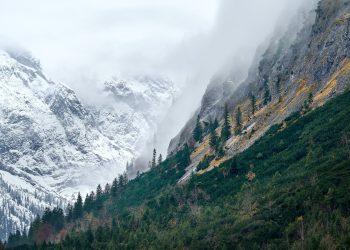 15 NGHỊCH LÝ TRONG CUỘC SỐNG