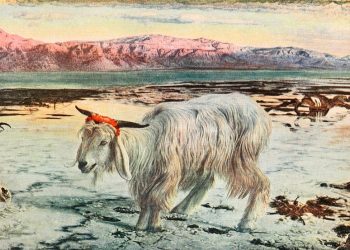 CON DÊ TẾ THẦN VÀ CON ĐƯỜNG TỚI BỨC HẠI CHÍNH TRỊ