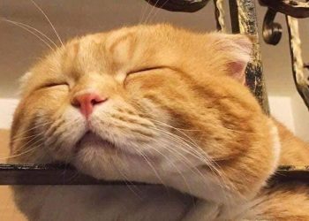 LÀM THẾ NÀO ĐỂ NHỮNG ĐIỀU TỒI TỆ KHÔNG CÒN XẢY RA?