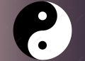 NẾU BẠN ĐANG PHÂN VÂN, CÂU TRẢ LỜI THƯỜNG NẰM ĐÂU ĐÓ Ở GIỮA NẾU BẠN ĐANG PHÂN VÂN, CÂU TRẢ LỜI THƯỜNG NẰM ĐÂU ĐÓ Ở GIỮA