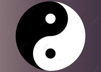 NẾU BẠN ĐANG PHÂN VÂN, CÂU TRẢ LỜI THƯỜNG NẰM ĐÂU ĐÓ Ở GIỮA