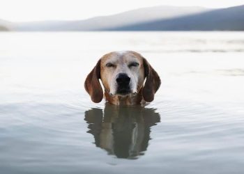 TỰ NHẮC KHI ĐI LÀM