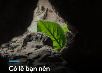 CÓ LẼ BẠN NÊN NGỪNG QUÁ GẮNG SỨC