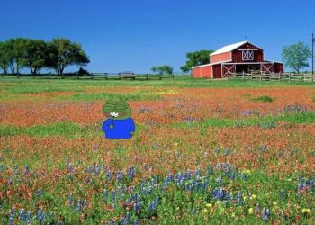 KHÔNG ĐAU VÌ QUÁ ĐAU