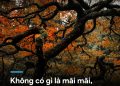 KHÔNG GÌ LÀ MÃI MÃI, MỌI THỨ LÀ TẠM THỜI.