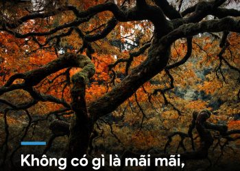 KHÔNG GÌ LÀ MÃI MÃI, MỌI THỨ LÀ TẠM THỜI.