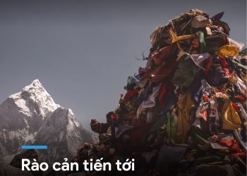 SỐNG BỀN VỮNG KHÔNG CHỈ LÀ NỖ LỰC ĐẾN TỪ MỘT CÁ NHÂN