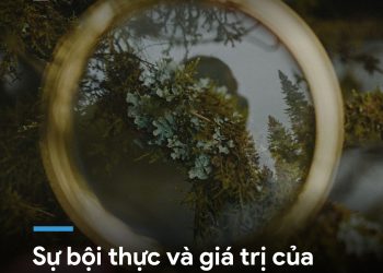 SỰ BỘI THỰC CỦA LỜI KHUYÊN “ĐI TÌM LẼ SỐNG”