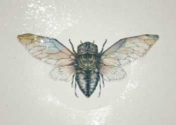 DÁM ĐI ĐƯỜNG TỐI, THƯỜNG TỚI ĐỈNH CAO