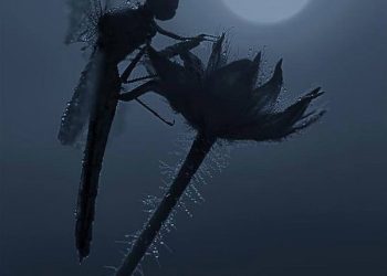 TRONG LÒNG NHƯ KHÔNG, RỘNG LỚN BẤT TẬN