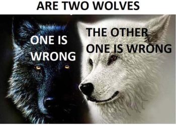 TRONG NGƯỜI BẠN CÓ HAI CON SÓI