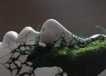 VẠN PHÁP DUY TÂM TẠO