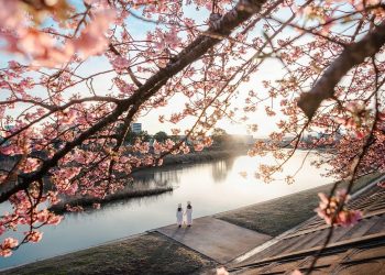 TẢN MẠN VỀ MCMA