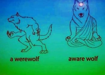 LÀM NHIỀU CHƯA CHẮC NGON