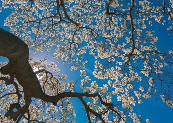 MỘT THẾ GIỚI HOÀN TOÀN MỚI