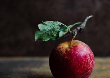 CUỘC ĐỜI NHƯ MỘT TRÁI TÁO CHÍN THƠM NGON