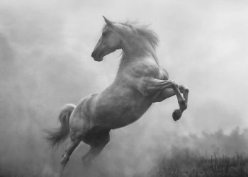 TU NHÀ, TU CHÙA, TU CHỢ, CHỖ NÀO TU KHÓ NHẤT ?