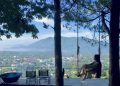 CHỮA LÀNH THỰC LÀ MỘT QUÁ TRÌNH ĐỚN ĐAU CHỮA LÀNH THỰC LÀ MỘT QUÁ TRÌNH ĐỚN ĐAU