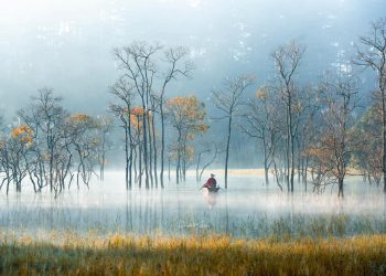 CUỘC SỐNG LÀ TÌM KIẾM