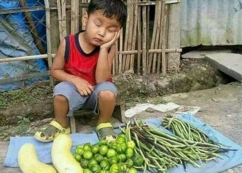 OSHO, CUỐN “INNOCENECE, KNOWLEDGE AND WONDER”