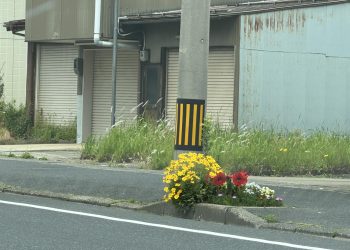 TẠI SAO CHÚNG TA KHÔNG NÊN DẠY CON KIỂU NGƯỜI NHẬT